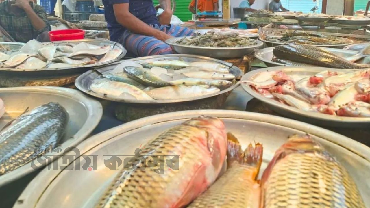 রাজধানীর মাছ ও মাংসের বাজারে স্বস্তির কোন চিহ্ন নেই, ক্রেতাদের ভোগান্তি তুঙ্গে