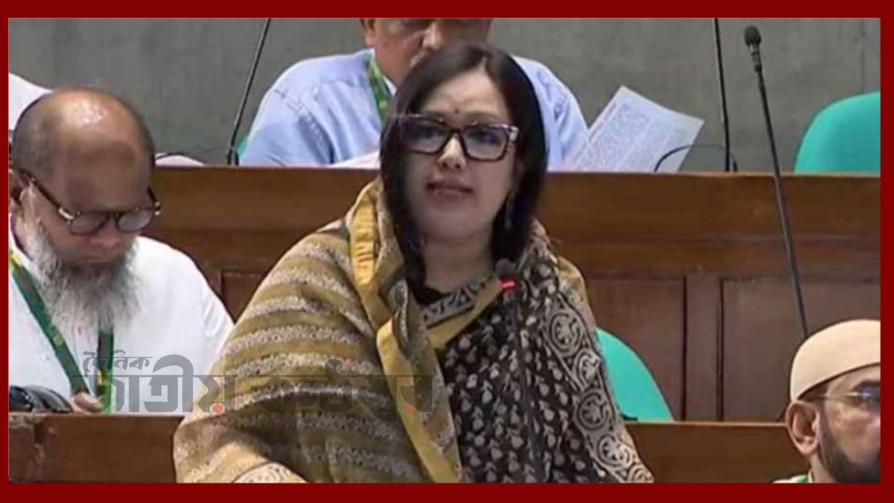 ভবন নির্মাণ থেমে আছে, চিকিৎসক নেই—সরাইলের স্বাস্থ্যসেবার বেহাল চিত্র সংসদে