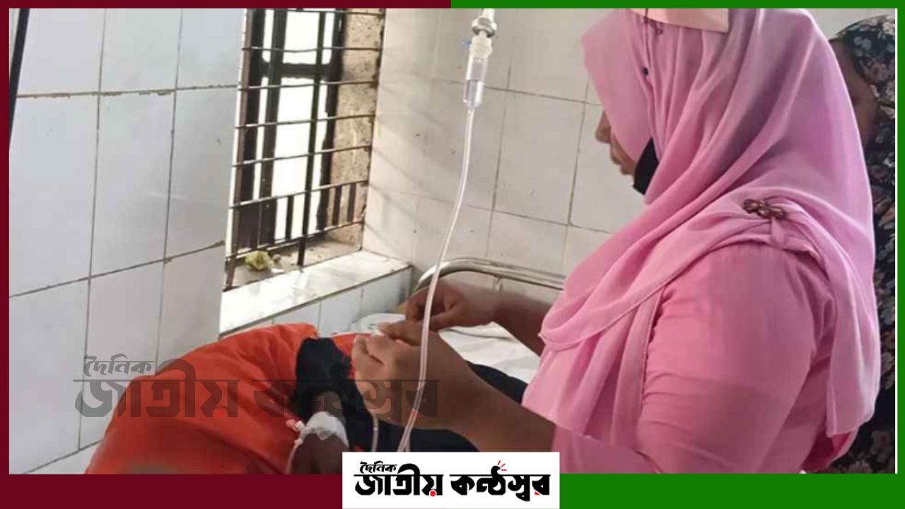 কিস্তির টাকার চাপ, অন্তঃসত্ত্বা নারীর ওপর হামলার অভিযোগ কলাপাড়ায়