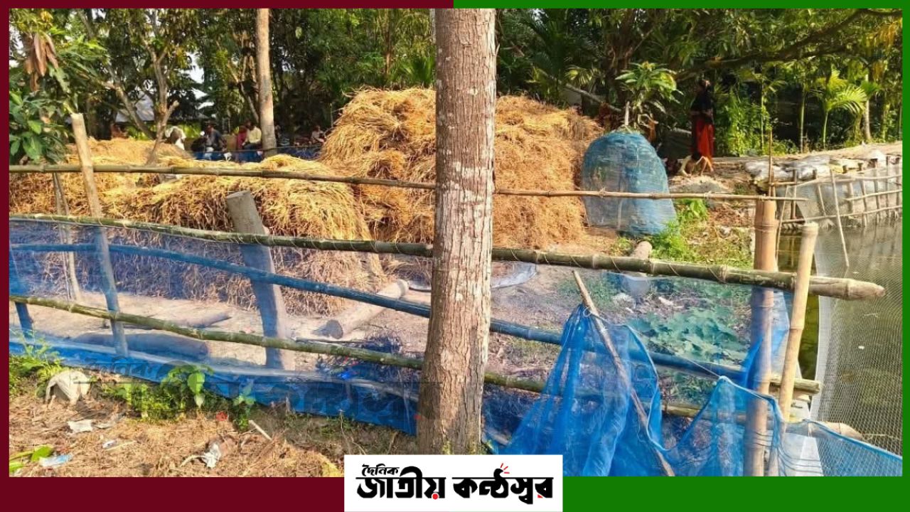 নওগাঁর মান্দায় চলাচলের পথে বেড়া: জমি দখলের অভিযোগে বিপাকে কৃষক ও গ্রামবাসী