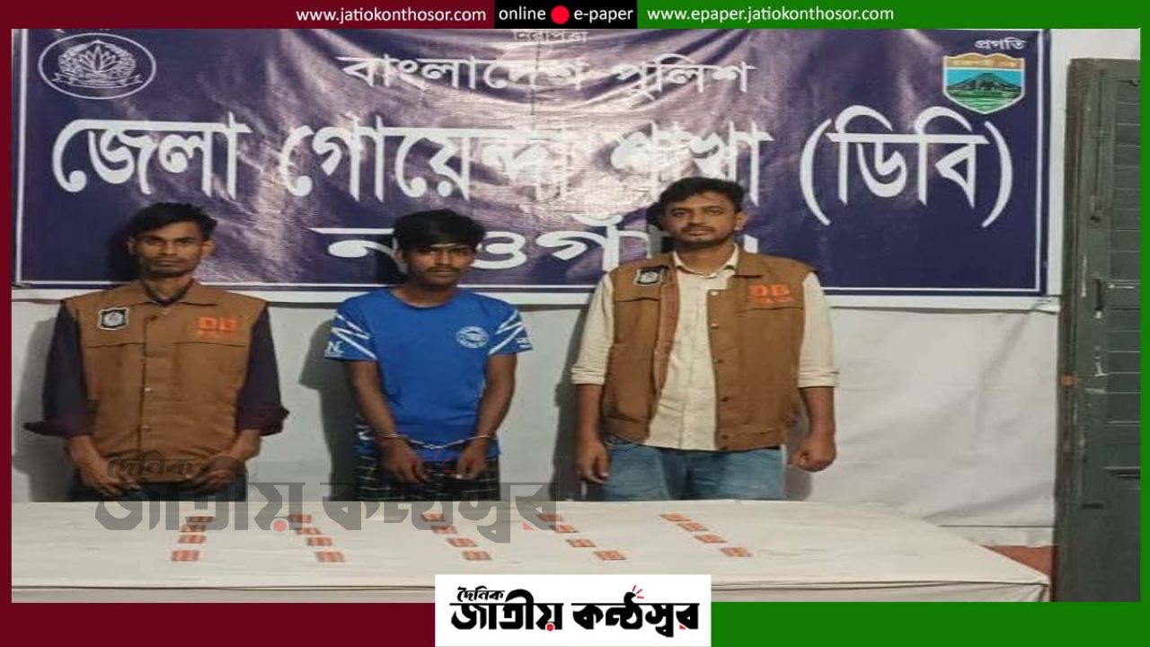নওগাঁতে ডিবির দুই পৃথক অভিযানে ট্যাপেন্টাডল ও গাঁজার গাছসহ দুই মাদক কারবারি গ্রেফতার