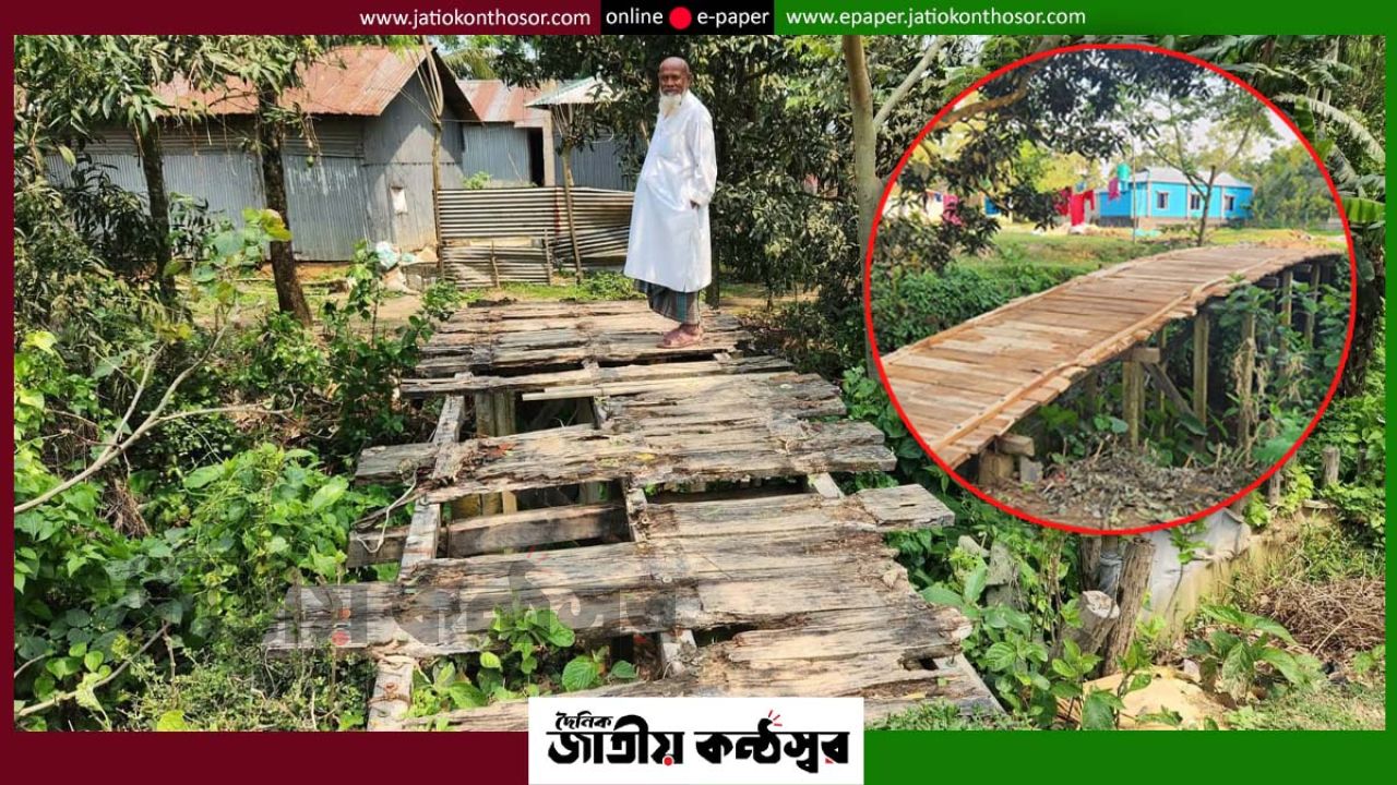 ঝিনাইগাতীর মোল্লাপাড়ায় কাঠের ব্রিজ নির্মাণ সম্পন্ন, স্বস্তি ফিরেছে জনজীবনে