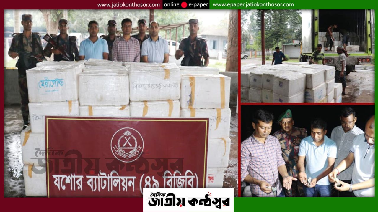 যশোরে ১২ লাখ টাকার জেলি পুশ করা চিংড়ি জব্দ, চার ট্রাকে চলছিল ঢাকাসহ বিভিন্ন জেলায় সরবরাহের চেষ্টা