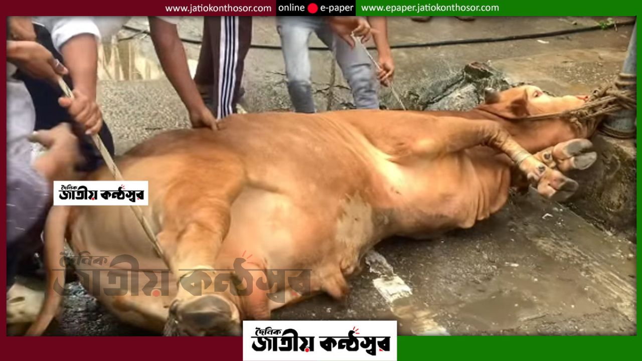 ঈদুল আজহার দ্বিতীয় দিনেও ঢাকাজুড়ে কোরবানি, কসাই সংকট কমায় স্বস্তি নগরবাসীর
