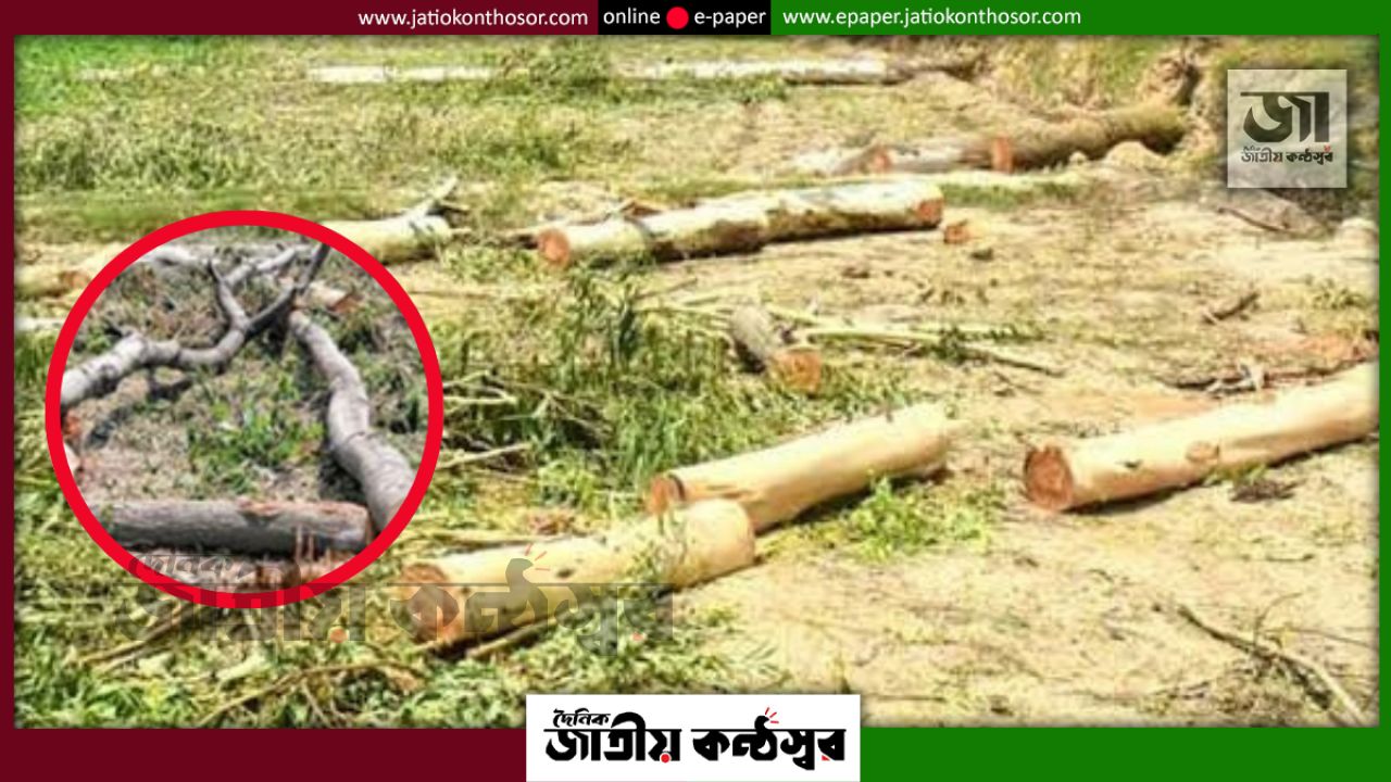 নূরুল আনোয়ার ওয়াকফ স্টেটের সম্পত্তি দখল ও অনিয়মের অভিযোগে এলাকায় চাঞ্চল্য
