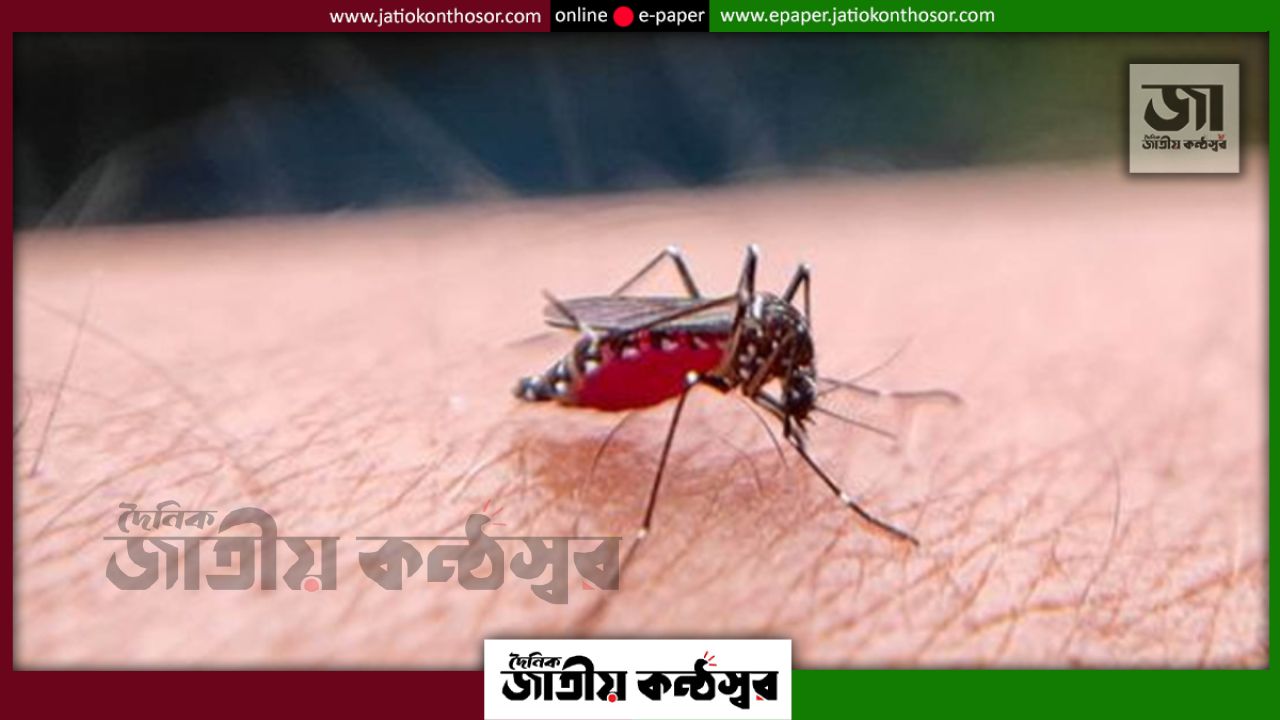 ২৪ ঘণ্টায় ডেঙ্গুতে আক্রান্ত ৯৯৪, মৃত্যু ৩; চলতি বছরে আক্রান্ত প্রায় ৩০ হাজার