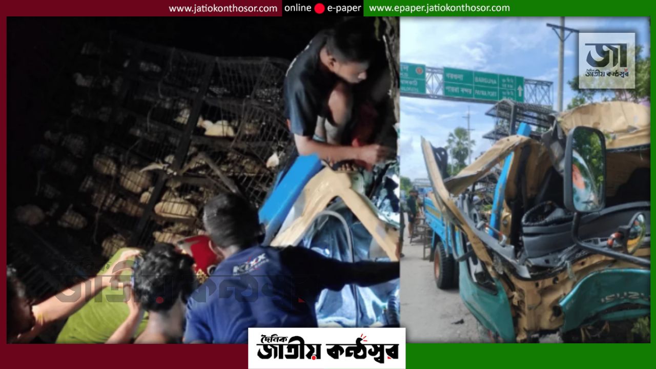 নলছিটিতে মুরগিবাহী পিকআপ গাছে ধাক্কা, হেলপার নিহত; আহত ৩
