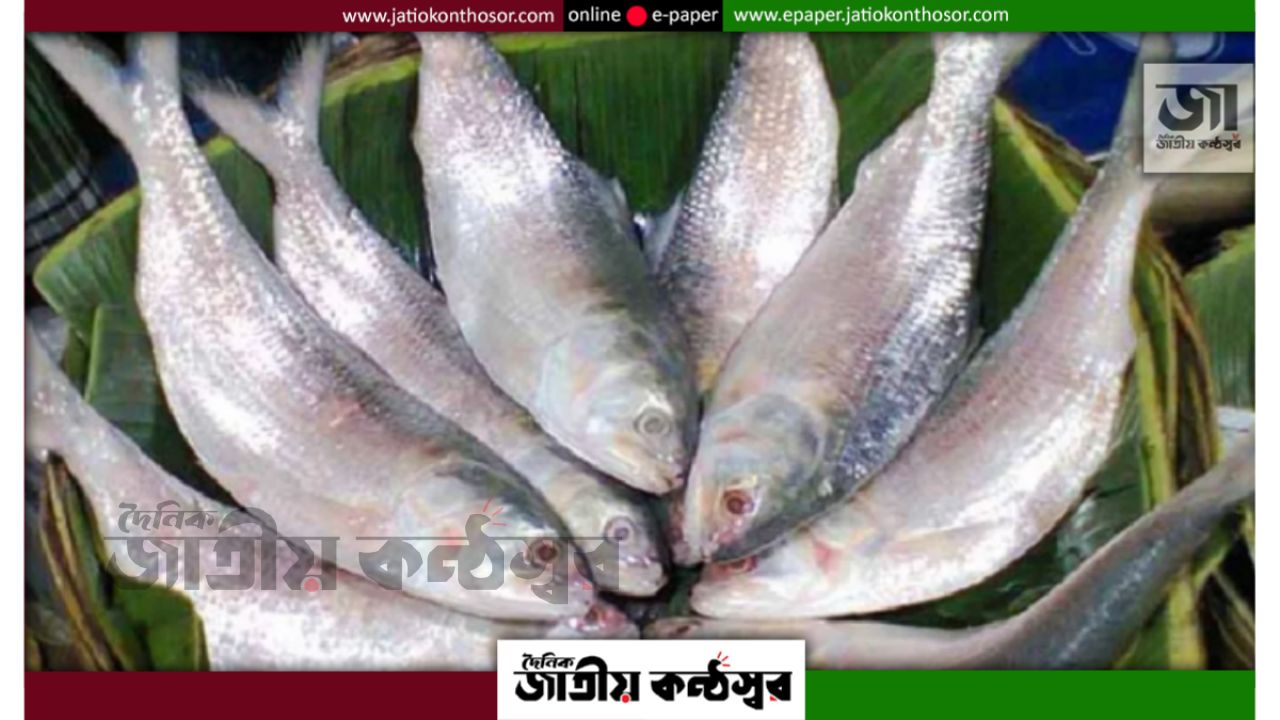 দুর্গাপূজায় বাংলাদেশি ইলিশ চায় ভারত, রপ্তানি নিষেধাজ্ঞা প্রত্যাহারের আহ্বান