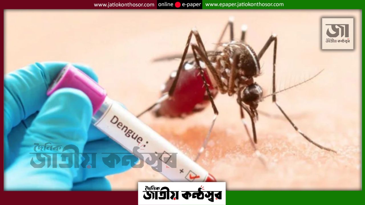 ডেঙ্গুতে আরও ২ মৃত্যু, ২৪ ঘণ্টায় হাসপাতালে ভর্তি ১ হাজার ৫৬ জন