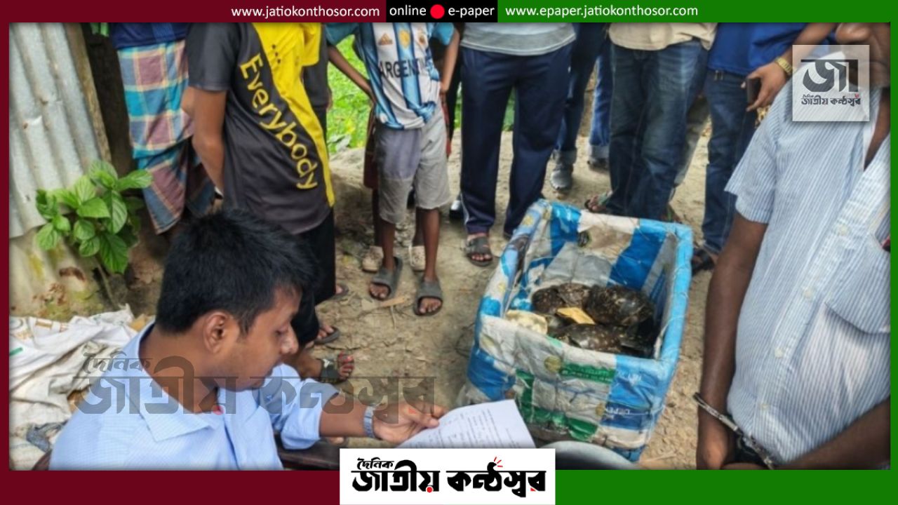 বরিশালে ২৮ কচ্ছপ ও শাপলা পাতা মাছ বিক্রির দায়ে ব্যবসায়ীর ৩ মাসের কারাদণ্ড