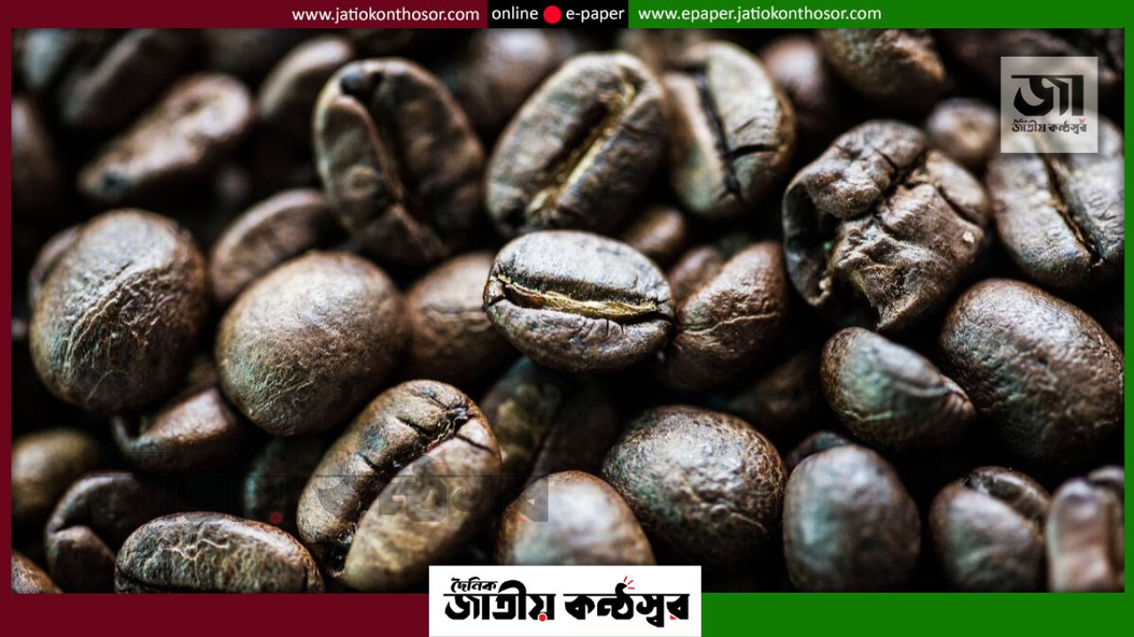 ব্ল্যাক আইভরি ও কোপি লুওয়াক: মল থেকে তৈরি বিশ্বের দামি কফির রহস্য