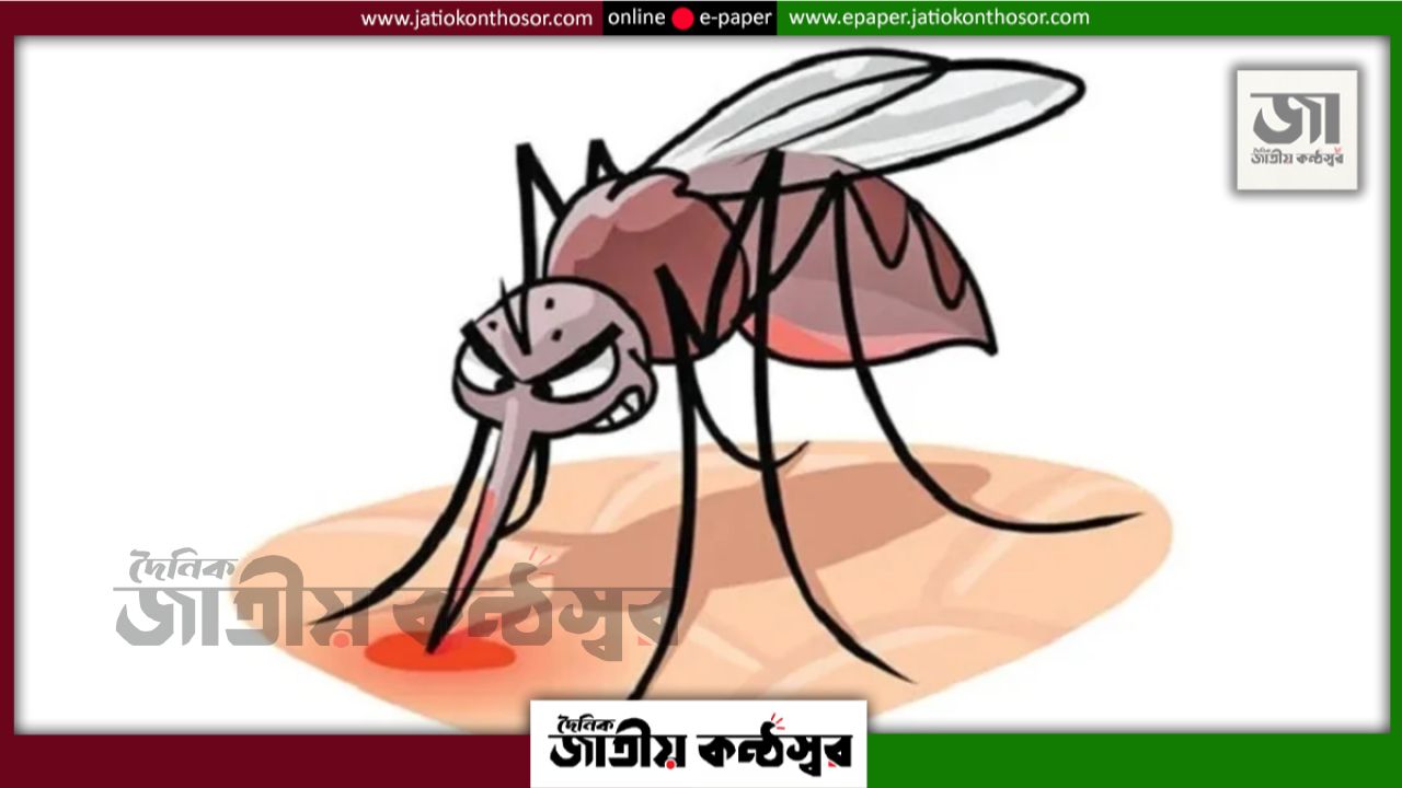 ডেঙ্গুর ধরন বদলেছে, সামান্য জ্বরেও বাড়ছে শকে যাওয়ার ঝুঁকি
