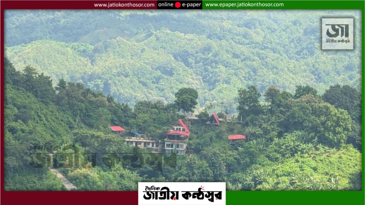 বান্দরবানে পাহাড় কেটে রিসোর্ট, ‘ইকো’ নামের আড়ালে পরিবেশের ক্ষতি