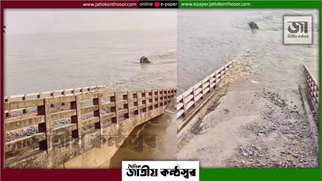 পদ্মার ভাঙনে ধসে পড়ল ৮ কোটি টাকার সেতু, দুর্ভোগে ২ হাজার মানুষ