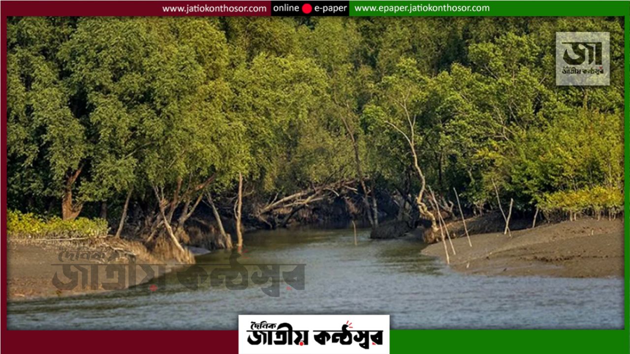 সুন্দরবনে মুক্তিপণের দাবিতে ৩ জেলেকে অপহরণের অভিযোগ, একজনকে মুক্তি