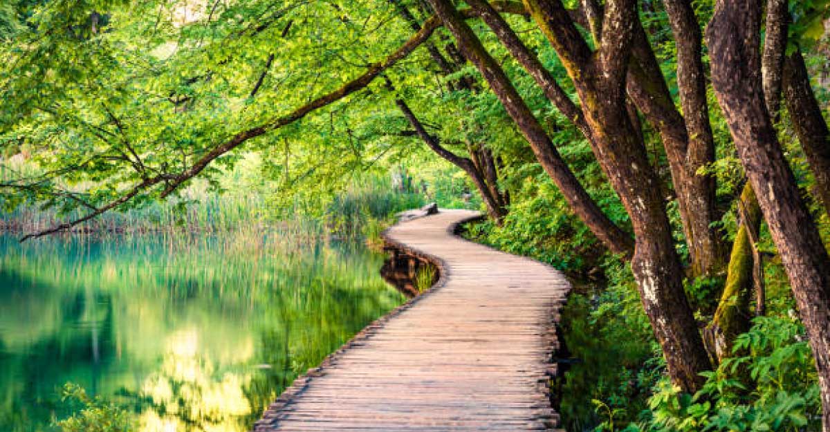 তেঁতুলিয়ায় দেখা মিলছে কাঞ্চনজঙ্ঘা, মুগ্ধ পর্যটকরা