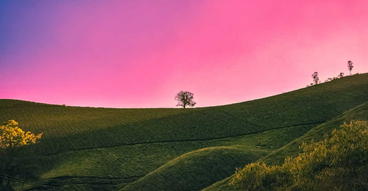 আইটিপল্লী নিউজ-১ ডেমো নিউজ সিক্স